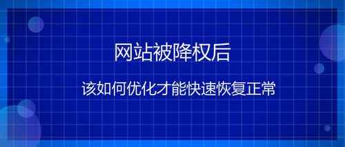 第一次经历网站降权